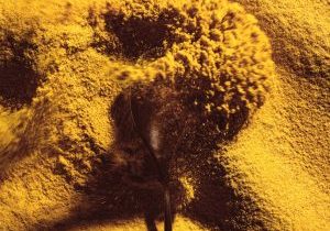 solein-protein_optim